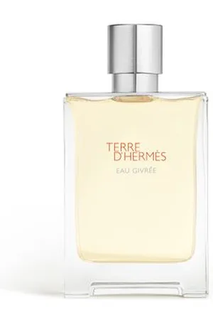 Hermès Terre d