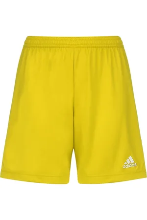 adidas Sportshorts 