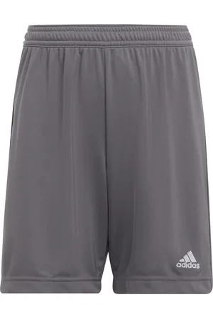 adidas Sportshorts 