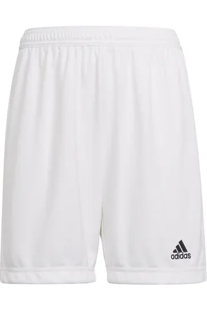 adidas Sportshorts 