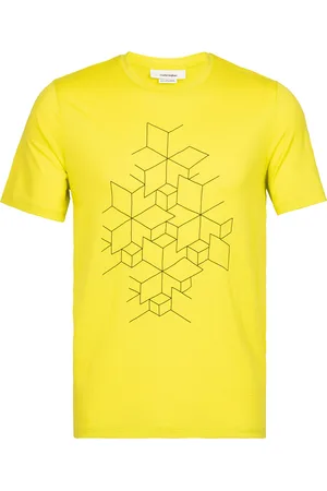 Icebreaker Funktionsshirt 