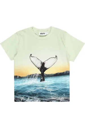 Molo T-Shirt 