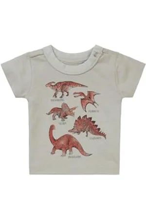 Noppies Baby Baby-Jungen Boys Tee Momence Short Sleeve T-Shirt, Willow Grey-N044, 68