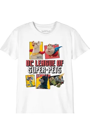 DC Comics Originals Jungen Bosupetts004 T-Shirt, , 10 Jahre