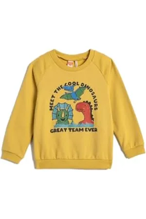Koton Babyboy Dinosaur Sweatshirt Brushed Interior Long Sleeve Crew Neck Cotton