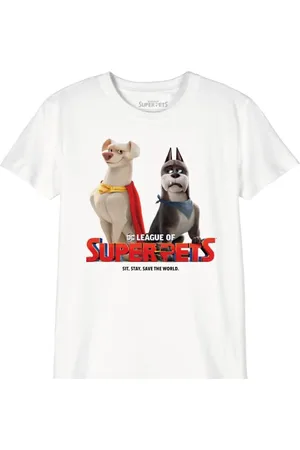 DC Comics Originals Jungen Bosupetts003 T-Shirt, , 10 Jahre