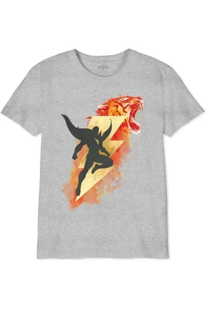 DC Comics Originals Jungen Boshazmts004 T-Shirt, Grau meliert, 14 Jahre