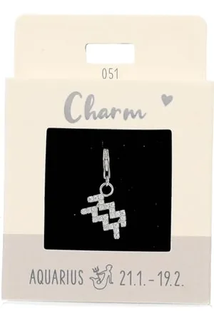 Depesche 11785-051 Charms Express yourself - Anhänger für Halsketten und Armband, Wassermann, versilbert, als kleines Geschenk