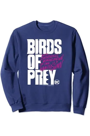 Birds Of Prey Large Logo Sweatshirt