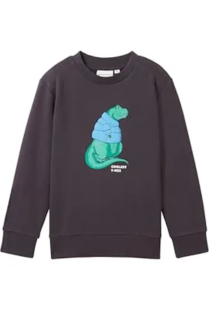 TOM TAILOR Jungen Kinder Sweatshirt mit Dinosaurier-Print , coal grey, 92/98