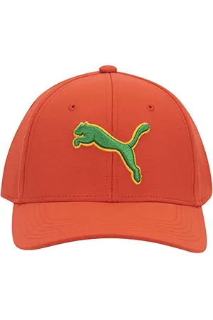 PUMA Unisex-Erwachsene Evercat Dillon Stretch Fit Cap Baseballkappe, , S/M