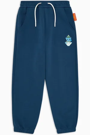 Emporio Armani ASV Loose Fit Jogginghose aus Bio-Jersey mit Manga Bear Crew Print