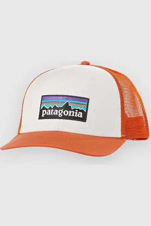 Patagonia P-6 Logo Trucker Cap