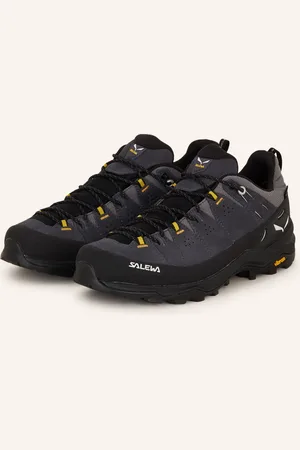 Salewa Wanderschuhe ALP TRAINER 2 GTX