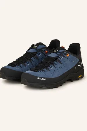 Salewa Wanderschuhe ALP TRAINER 2