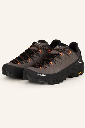 Salewa Wanderschuhe ALP TRAINER 2 GTX