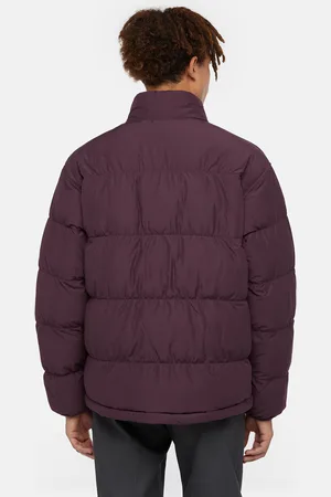 Dickies Scobey Steppjacke Mann Size M