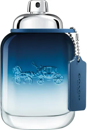 Coach Blue Man Eau de Toilette 60 ml Herren (1083.33 € / 1 l)