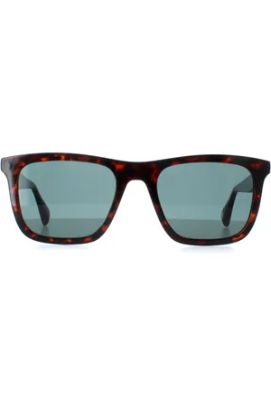 Ted Baker TB1680 Filipe 110 milchig dunkelbraun blau Sonnenbrille