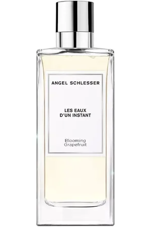 Angel Schlesser Les Eaux D