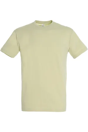 Sols Herren Regent T-Shirt mit kurzen Ärmeln (Grüner Salbei)