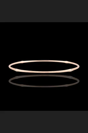 Edenly Armband Heiliger Urwald - Diamant - gebürstetes 18 Karat
