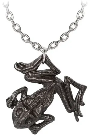 Alchemy Black Paddock Halskette silberfarben