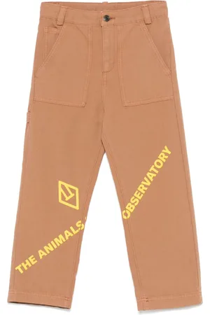 The Animals Observatory Condor Hose