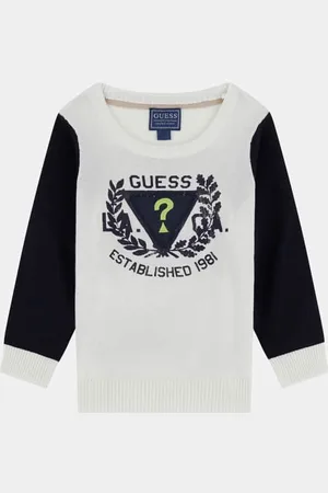 Guess Bedruckter Pullover