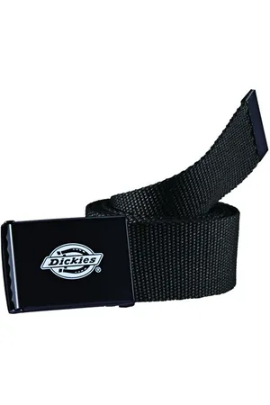Dickies Orcutt Webbing Belt