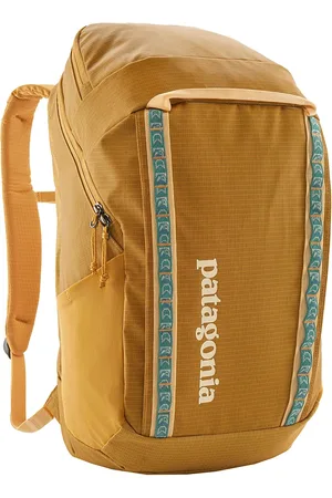 Patagonia Black Hole Pack 32L