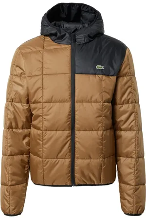 Lacoste Herren, Jacken, Braun, SGröße: