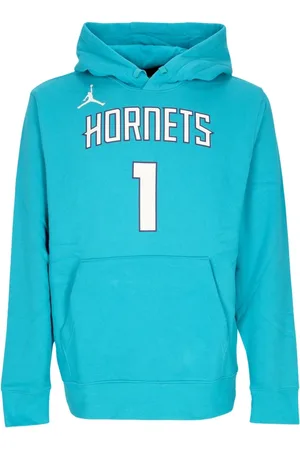 Jordan Herren, Sweatshirts & Hoodies, Blau, LGröße: