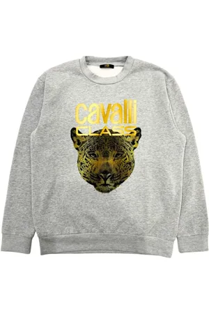 Roberto Cavalli Herren, Sweatshirts & Hoodies, Grau, SGröße: