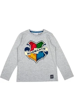 Harry Potter Langarmshirt Langarmshirt in verschiedenen Designs grau 110