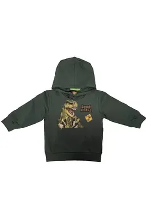 DINO WORLD Kapuzensweatshirt Dinosaurier T-Rex Pullover Sweatshirt Kapuze dunkelgrün (1-tlg) grün 104