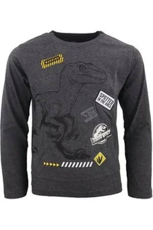 Jurassic World Langarmshirt Raptor Jungen Kinder langarm Shirt Gr. 104 bis 134 grau 104