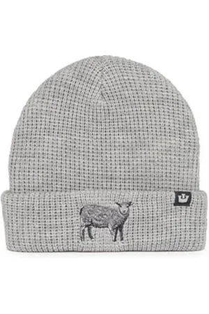 Goorin Bros. Beanie Beanie Ribbed Sheep Grey Hellgrau grau