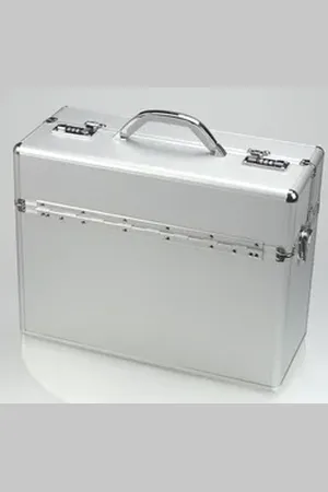Alumaxx Reisetasche Pilotenkoffer Alpha 37,5x47x20cm Aluminium .