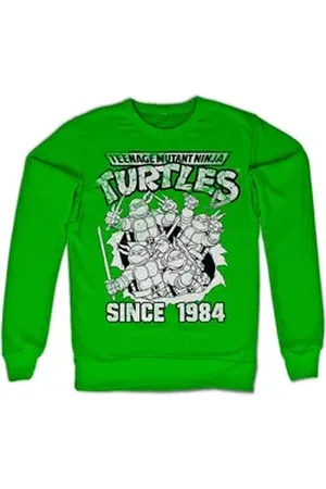 Teenage Mutant Ninja Turtles Rundhalspullover grün XL