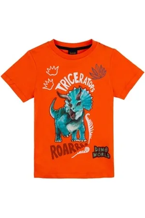 DINO WORLD T-Shirt Dinosaurier Triceratops T-Shirt orange (1-tlg) orange 104