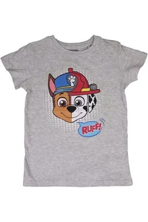 Paw Patrol Kurzarmshirt Friends Kinder Jungen T-Shirt Gr. 92 bis 122, Motivwahl grau 98