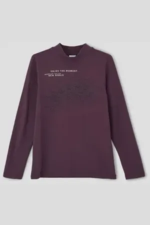 QS by s.Oliver Langarmshirt Longsleeve mit geripptem Stehkragen lila L