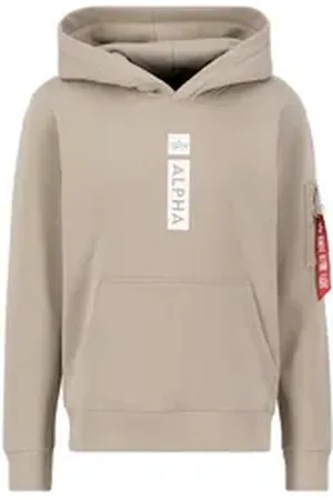 Alpha Industries Hoodie Men - Hoodies Alpha Puff Print Hoodie braun 2XL