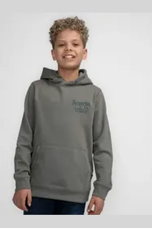 Petrol Industries Hoodie mit Print auf der Brust grün 116