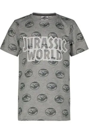 Jurassic World T-Shirt T-Rex Jurassic Park Kinder T-Shirt Kinder + Jugendliche Grau + Blau Größe 134/140 146/152 158/164 170/176 cm Lizensiert grau 158/164