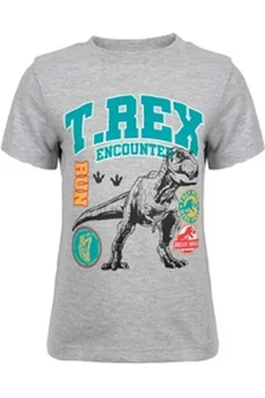 Jurassic World Print-Shirt T-Rex Kinder Jungen kurzarm T-Shirt Shirt Gr. 92 bis 128 grau 98/104