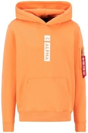Alpha Industries Hoodie Men - Hoodies Alpha Puff Print Hoodie orange S