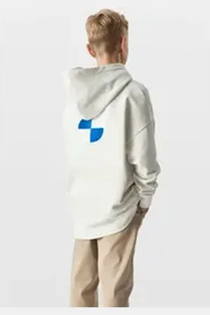 BMW Sweatshirt Ausgefallenes Logo auf dem Rücken grau 104