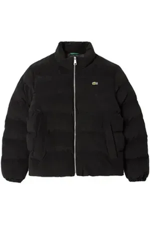 Lacoste Winterjacke Single Logo Cordjacken schwarz 52